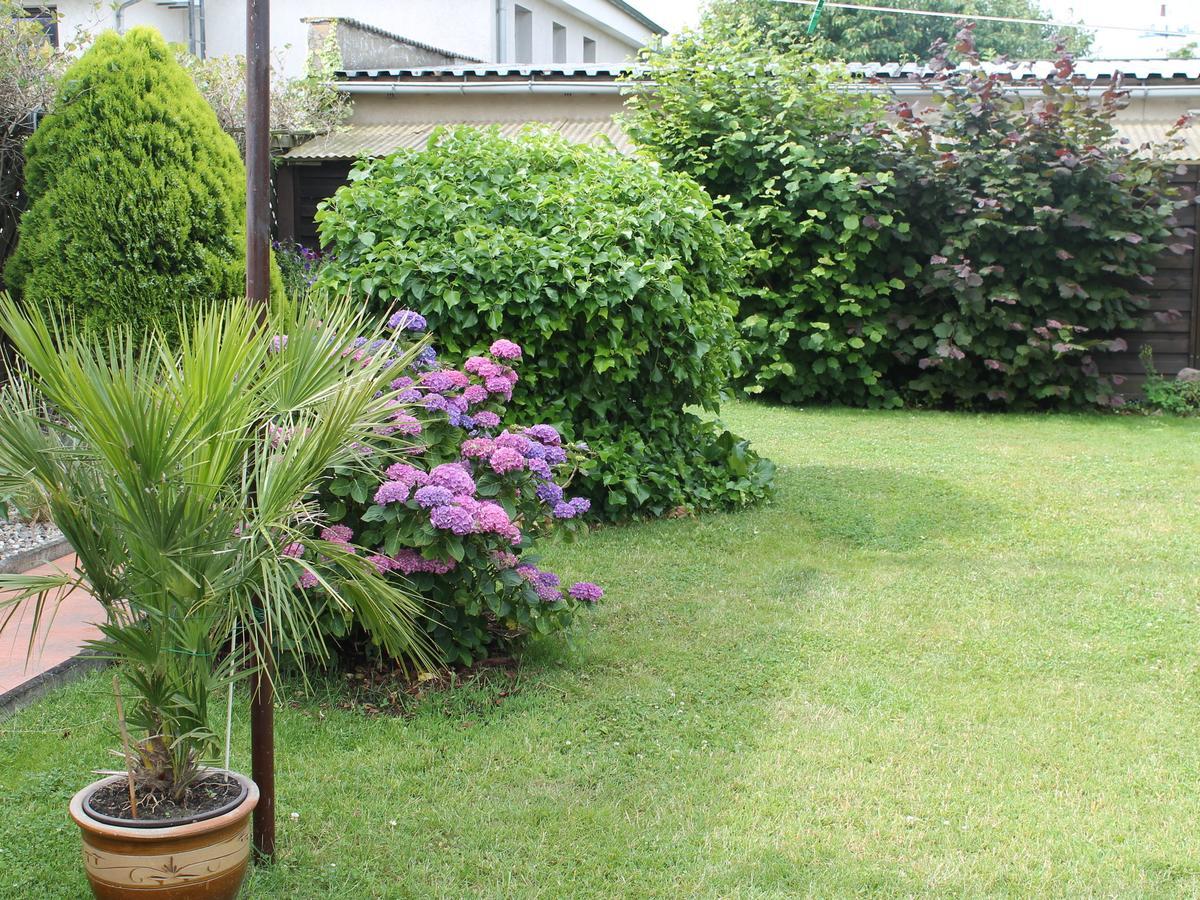 Apartment Rerik With Fenced Garden Exteriör bild